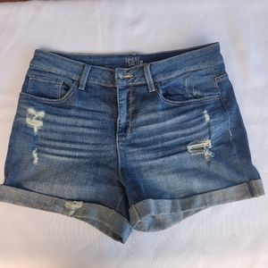 Time and  True Distressed Shorts